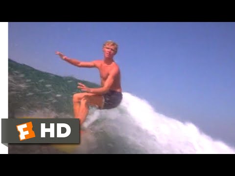 Big Wednesday (1978) - Summer Surfing Scene (2/10) | Movieclips