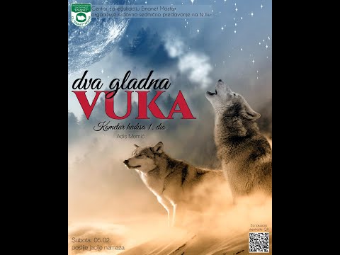 Dva gladna vuka- Prof. Adis Memić