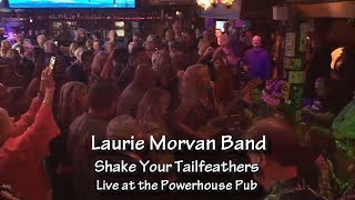 Shake Your Tailfeathers guitar solo, Laurie Morvan Band live at the Powerhouse Pub
