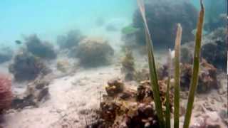 preview picture of video 'DANGEROURS BOAT TRIP by La Playa Camp Ground & Picnic Grounds in Caramoan Caramines Sur'