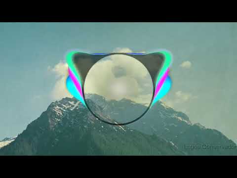 Wellington Gomes - Bir Dal Sigara