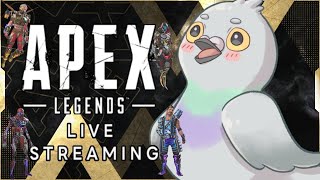 ゴールド帯　イヴでもランク 　キーマウおじさん