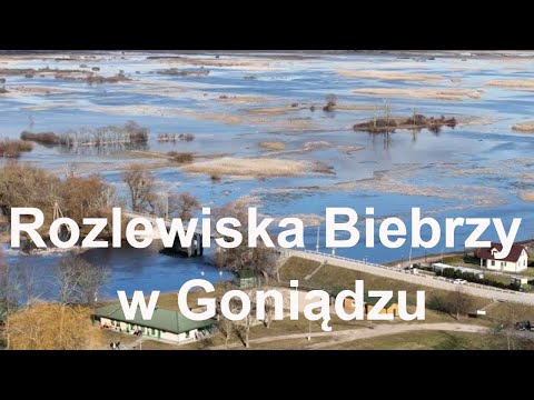 Rozlewiska Biebrzy w Goniądzu 2024