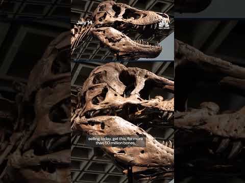 T. rex named Gus sells for record-setting $50.1 million