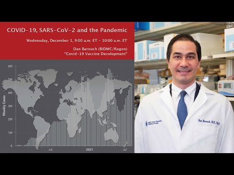 Vaccine Development: The High-Stakes Pursuit of Immunity | Vibepedia