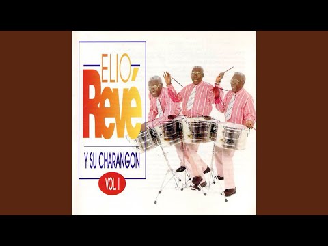 Mi Salsa Tiene Sandunga