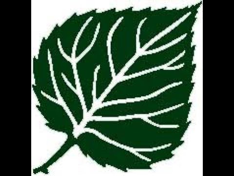 Verbum supernum prodiens - Reflection on a plainsong hymn tune