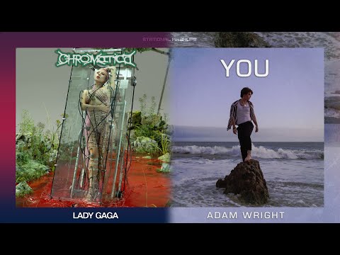 "Plastic You" (MASHUP) Adam Wright v.s. Lady Gaga