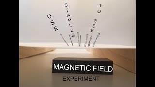 Use Staples to see the Magnetic Field Experiment