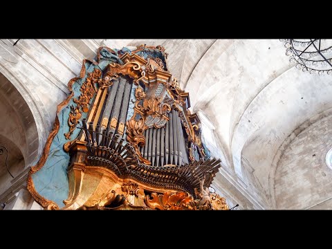 SPANISH TRUMPETS & The LARGEST Mixture in the World - Paul Fey plays the Organ in SANTANYI (Spain)