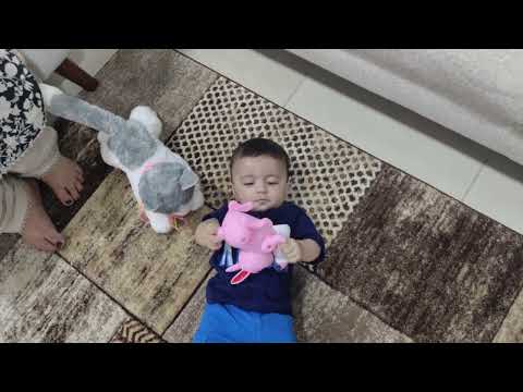 Izhaan is playing with his cat | #shorts #ytshorts #cute #baby #cat