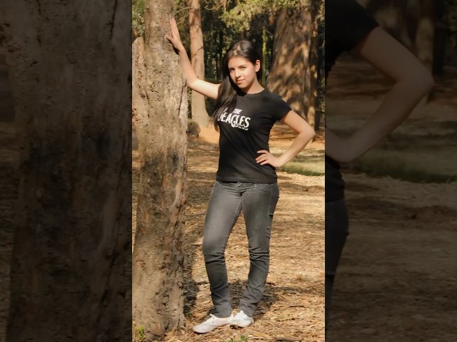 Vídeo relacionado con The Beagles - Camiseta divertida para los amantes de Beagle Camiseta