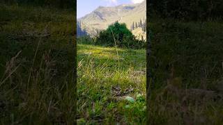 Download lagu Battakundi #islamicstatus #youtubeshorts #shorts #molanatariqjameeloffical #kag mp3