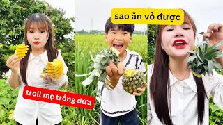 Tổng hợp video siêu hài hước vui nhộn, troll mẹ leo cây, cách trồng dứa bằng lá cười xĩu | Thủy Mít
