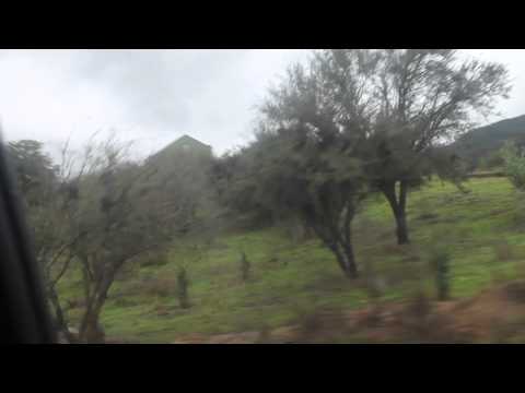 Newen afrobeat 22/12/013 #02