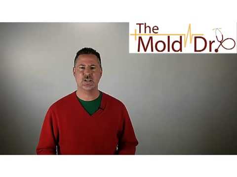 Kilz Over Mold