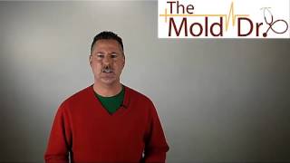 Can you paint over mold