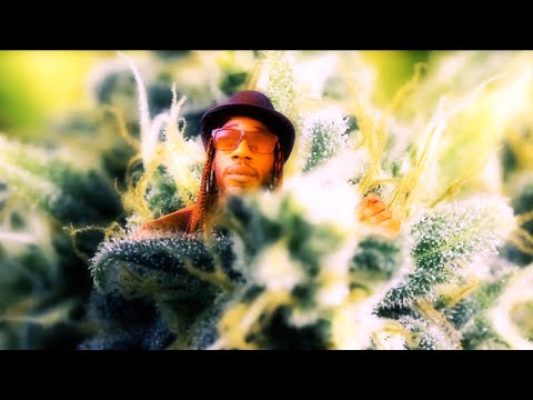 ENORME by Machete Groy - Videoclip Oficial