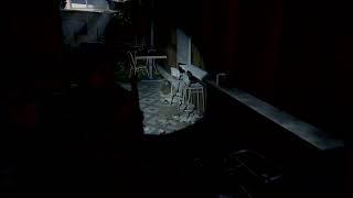 ＃13「実況」みんな大好きThe Last of Us Part 2