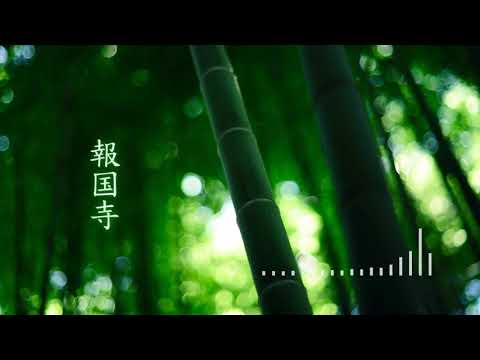 Sao Meo Orchestral Mix - Doug Maxwell & Zac Zinger