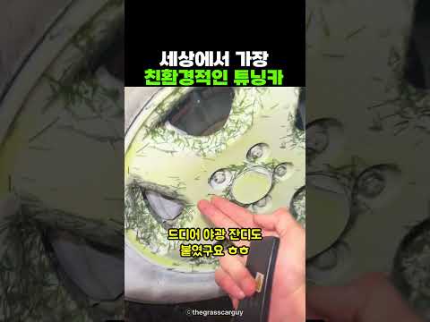 세상에서 가장 친환경적인 튜닝카