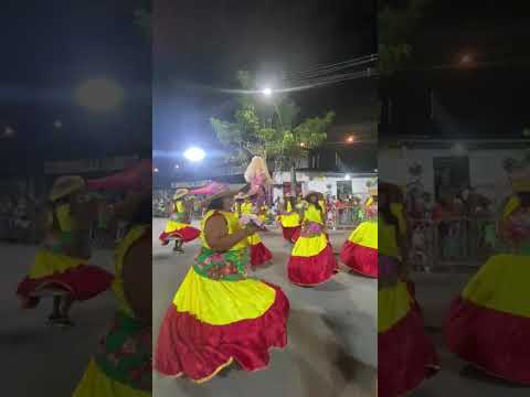 Boneca Neném A Flor do Sertão (desfile dia 15.02.2026) concurso de Agremiações 