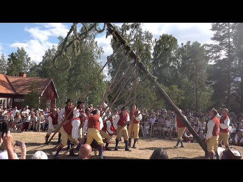 Midsommar i Sundborn 2023 (Classical Swedish Midsummer Celebrations)