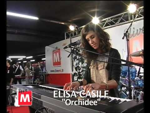 LiveMi 27.3 ELISA CASILE