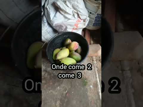 Vou voltar  pra Tururu Ce Brasil