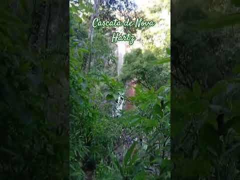 Chegando na Cascata de Nova Hartz #03💧🌿#cascatas #trilhas #paisagemnatural