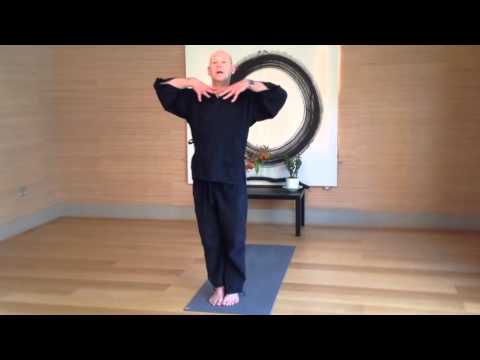 Short autumn Zen yoga sequence - with Daizan Roshi