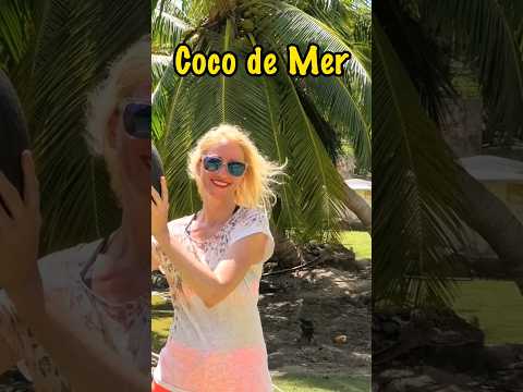 "😎The Coco de Mer: Legends, Rarity, and Conservation of a Prized Palm" #shorts #trending