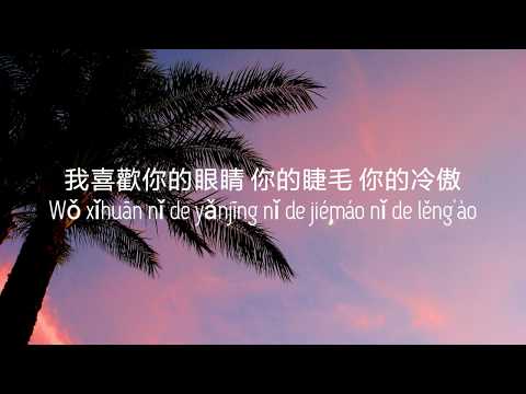 Wo Duo Xi Huan Ni, Ni Hui Zhi Dao [我多喜欢你，你会知道] - Wang Jun Qi [王俊琪] Pinyin Lyrics