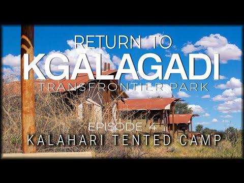RETURN TO THE KGALAGADI - Episode 4 - Kalahari Tented Camp