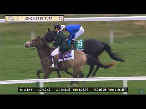 2022 11 /5 R/10 /James Doyle :/Rebels Romance / T. C Appleby