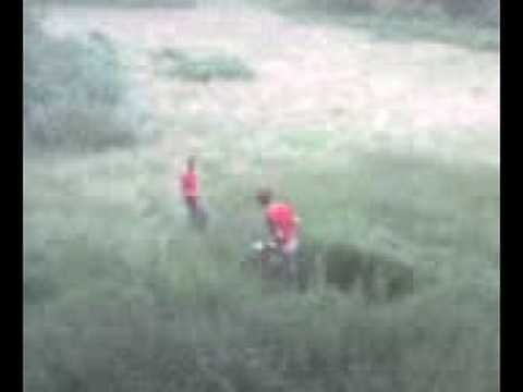 Ein Pfälzer  gerät in Panik