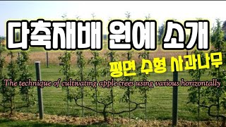 ☆신기술☆ 사과 평면 수형 다축재배 이론 The technique of cultivating apple tr…