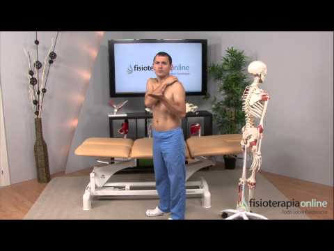 Tratamiento para la tendinitis del hombro y el manguito rotador - Fisioterapia Bilbao