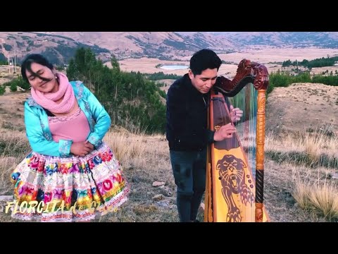 ▶️Miski Huayno con Florcita de Cusco- huayno con ARPA 🎵🎶