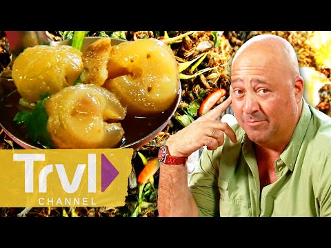 UNFORGETTABLE Meals from Seasons 2 & 3 | Bizarre Foods with Andrew Zimmern | Travel Channel