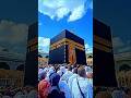 Naat Haal E Dil Zohaib Ashrafi Naat Haledilkiskosunaye Zohaibashrafi