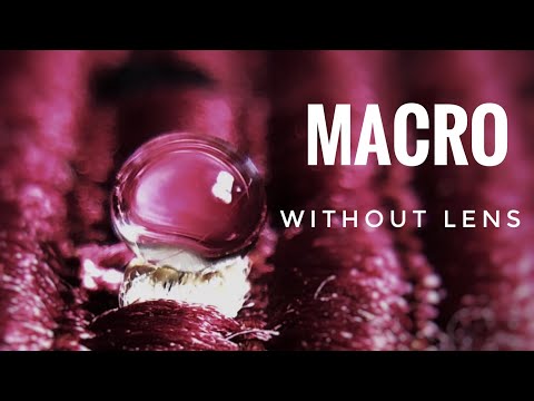 How to Shoot Macro Without A Macro Lens | Mobile Photography | Sam Augustine