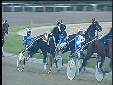 Trotto 04/11/2016 - 3ª corsa