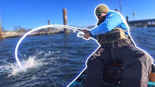 Freshwater Guy Tries Saltwater in Kayak (the Fish were STACKED)