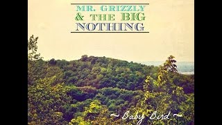 Mr. Grizzly & The Big Nothing - Baby Bird