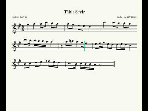 29. Tâhir Seyir - Zeki Yılmaz