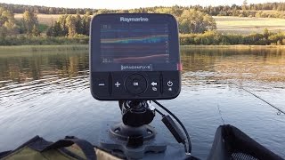 Эхолот raymarine dragonfly 5 dvs