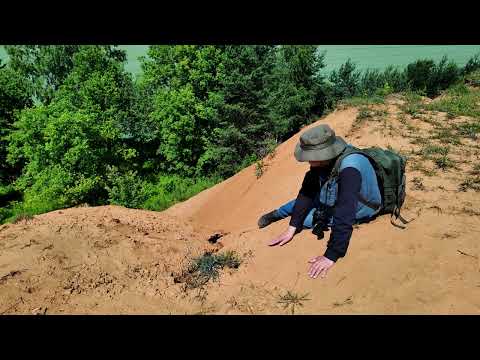 Know, love, protect. The washing dump of the Fryderyk Mine