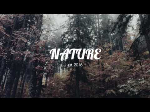 Don Diablo ft. Emeni - Universe