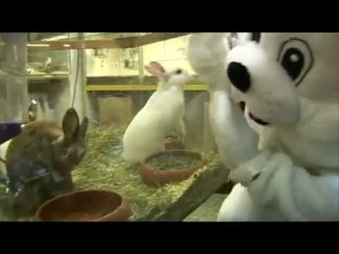 LUETZENKIRCHEN - 3 TAGE WACH (MONHUMENT REMIX)